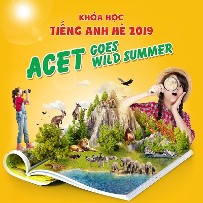 Acet summer